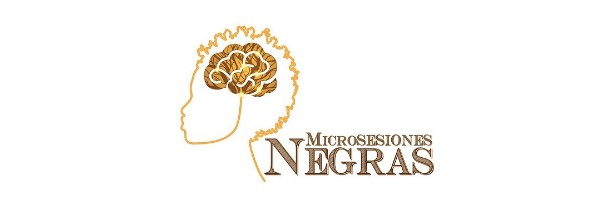 microsesiones